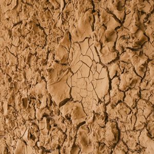 Kunst aus Erde und Lehm - Daniel Duchert