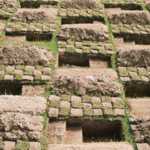 Sezierung - Daniel Duchert